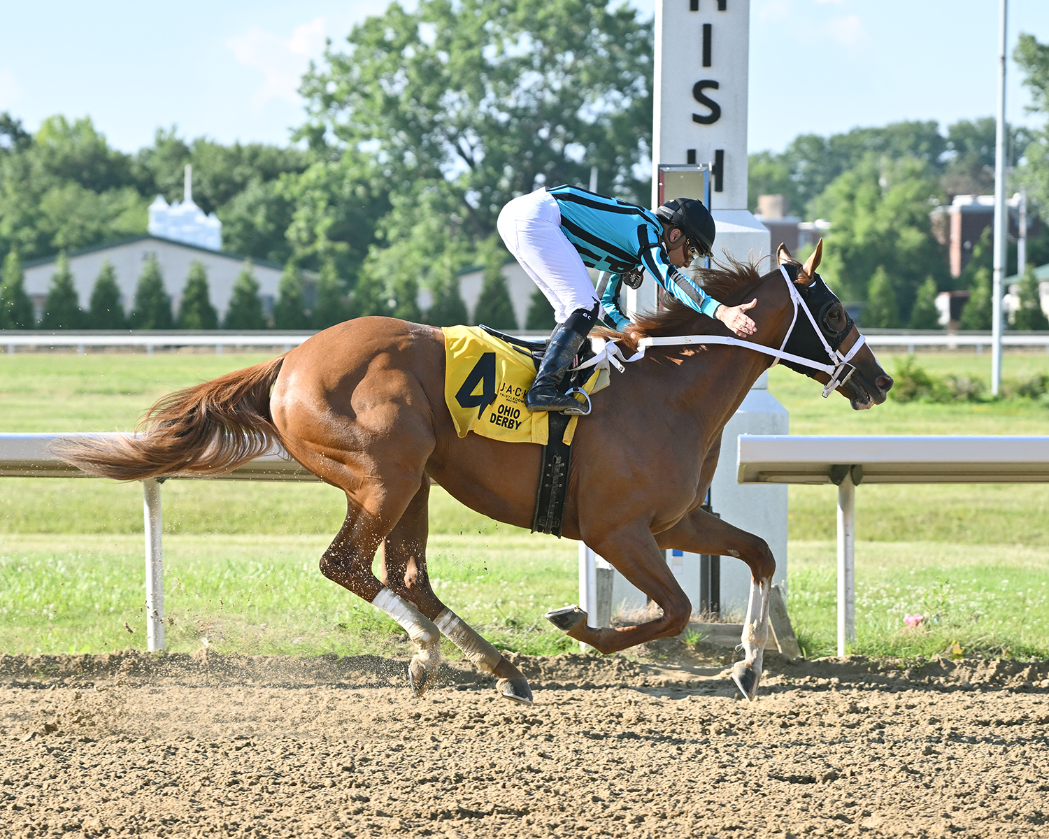 Thistledown Racetrack Picks, Live Horse Racing Schedule, & News